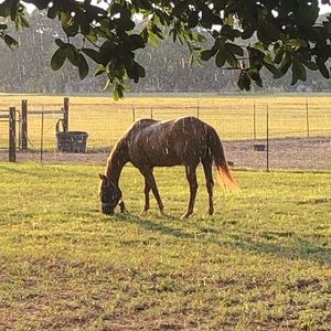 Meet your Posher, Ethan